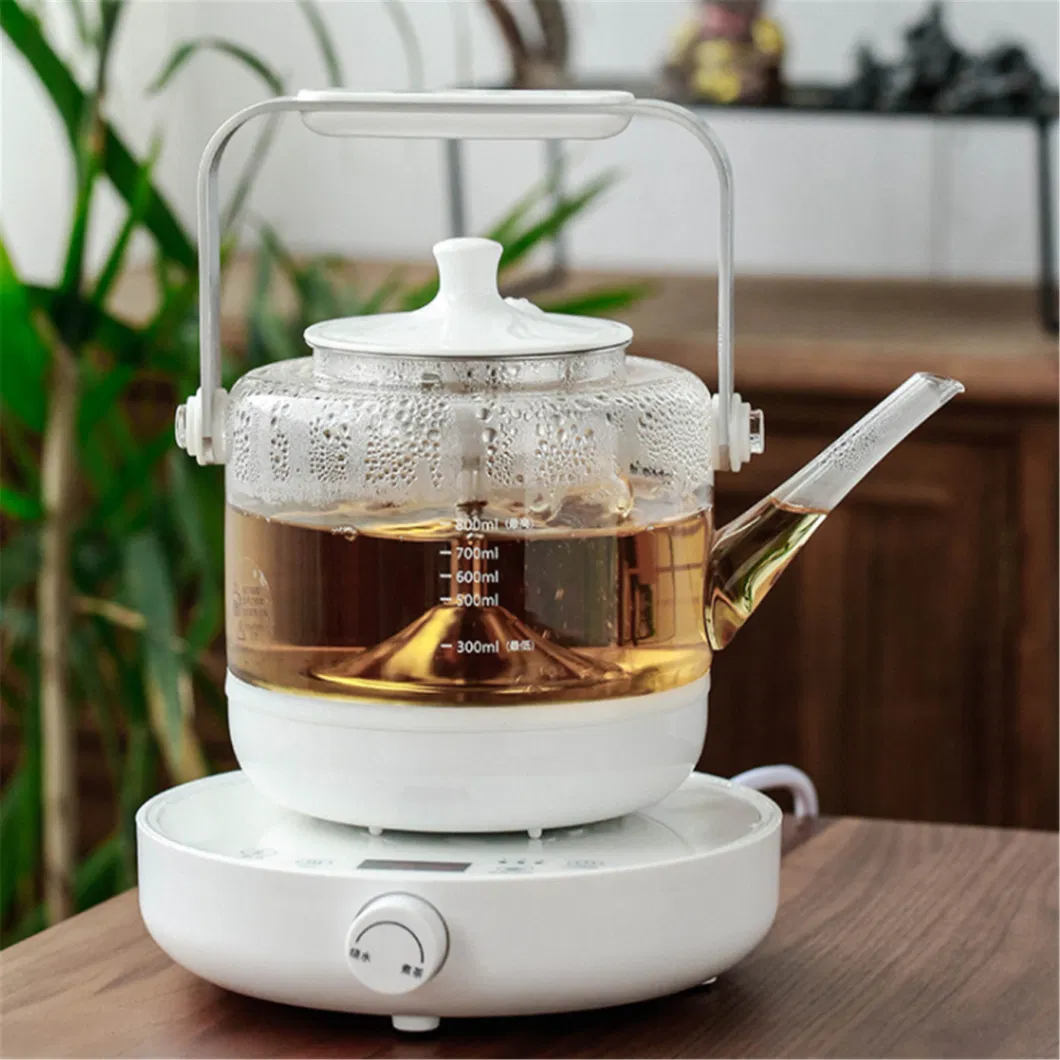 Hot Sales Multifunction Electric Health Pot