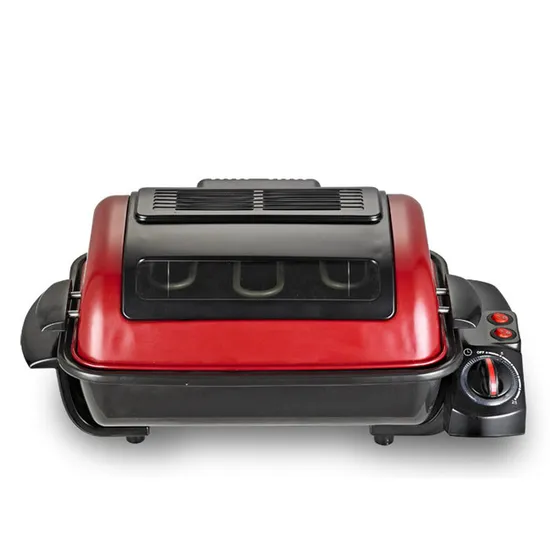 Electric Fish Roaster 