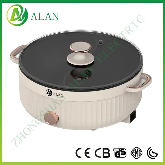 Wholesale OEM Household Multipurpose Electric Cooking Pot Portable Multi