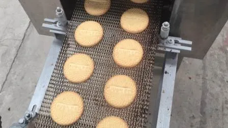 Cheap Price Good Quality Mini Biscuit Making Machine for Sale 